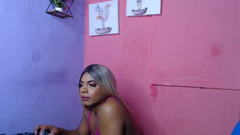 Noha online show from 9, 12, 2024