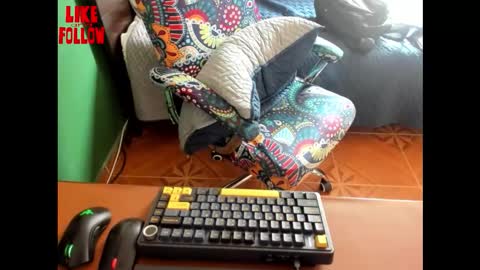 David online show from 15, 2, 2026