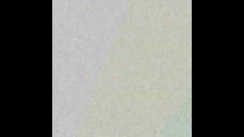 Snapshot of david_blue1 chatting on 2, 2, 2026 David online show from 2, 2, 2026