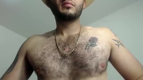 david online show from 2, 2, 2026