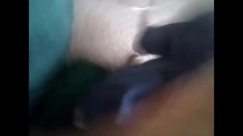 Snapshot of davidf75 chatting on 6, 11, 2025 davidf75 online show from 6, 11, 2025