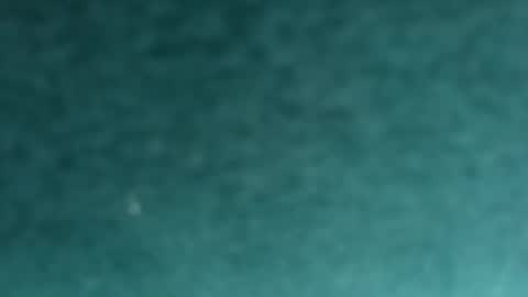 Snapshot of davidf75 chatting on 12, 11, 2025 davidf75 online show from 12, 11, 2025