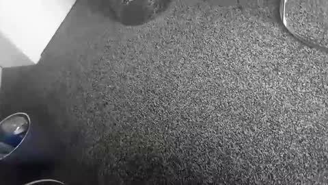 Snapshot of davidf75 chatting on 17, 11, 2025 davidf75 online show from 17, 11, 2025