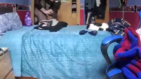 Hugo online show from 26, 1, 2025