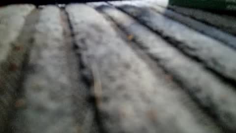 davros8621 online show from 2, 11, 2025