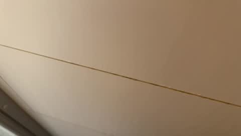 Hornybear online show from 15, 1, 2026