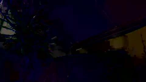 dayblue online show from 1, 3, 2026