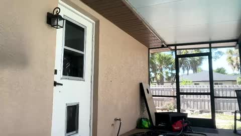 Dazey online show from 21, 4, 2026