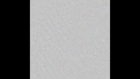 dxdawgty online show from 16, 2, 2026