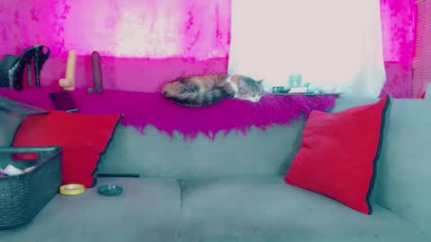 deboragill online show from 13, 3, 2026