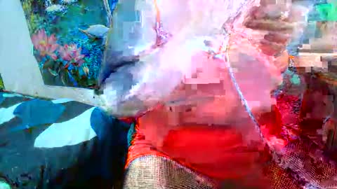 debrastephens online show from 5, 4, 2026