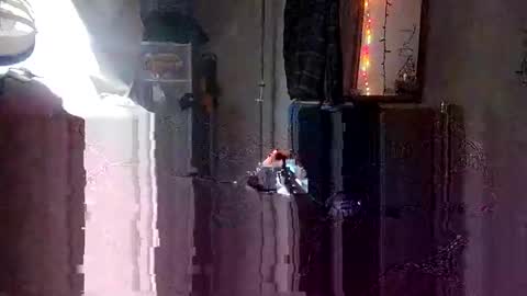 decoyx5o5 online show from 26, 1, 2025