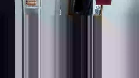 decoyx5o5 online show from 3, 3, 2025