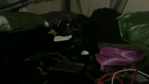 delightfuldark online show from 3, 10, 2025