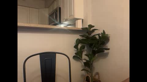 Snapshot of delightfuldark chatting on 24, 2, 2026 delightfuldark online show from 24, 2, 2026