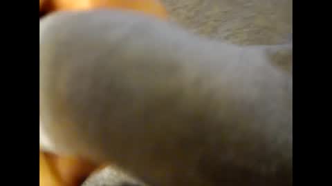 deliv_shopi online show from 25, 11, 2025