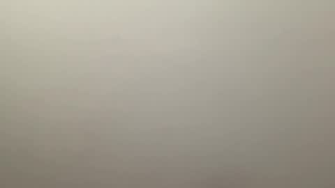 Delivery      online show from 4, 1, 2025