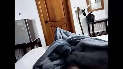 denier online show from 15, 12, 2025