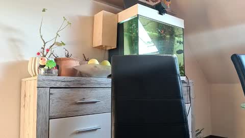 Denise and Brad online show from 7, 4, 2026