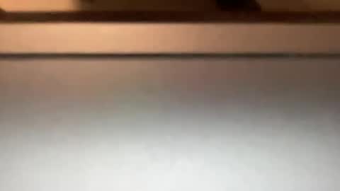 densex123 online show from 4, 3, 2025