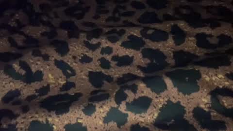 derek829099 online show from 11, 9, 2025