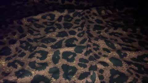 derek829099 online show from 9, 10, 2025