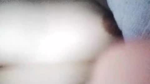 desurvv0999 online show from 19, 11, 2025