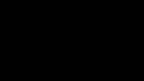 dexcarter81 online show from 2, 3, 2025