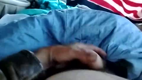 Snapshot of dickbowen64 chatting on 1, 11, 2025 Dickbowen online show from 1, 11, 2025