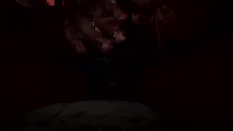 dickdynamics online show from 13, 1, 2026