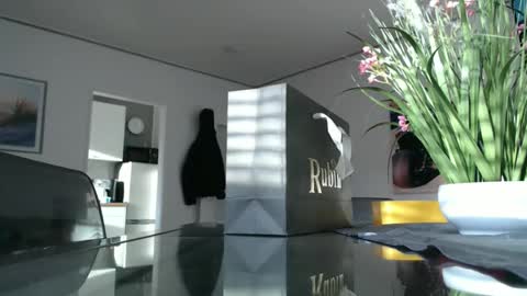 Snapshot of didiegal1 chatting on 21, 12, 2025 squirtcock online show from 21, 12, 2025