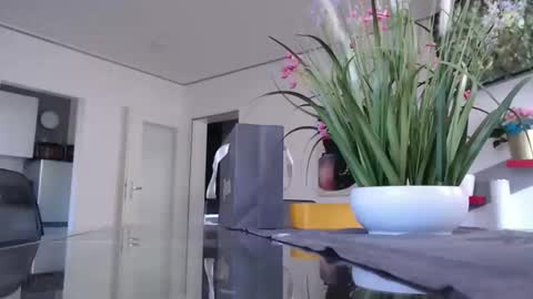 Snapshot of didiegal1 chatting on 11, 1, 2026 squirtcock online show from 11, 1, 2026