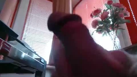 Snapshot of didiegal1 chatting on 24, 2, 2026 squirtcock online show from 24, 2, 2026