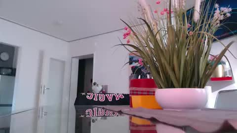 Snapshot of didiegal1 chatting on 25, 2, 2026 squirtcock online show from 25, 2, 2026