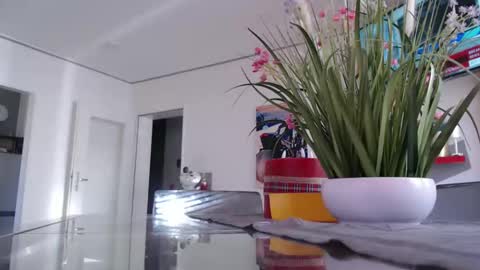 Snapshot of didiegal1 chatting on 2, 3, 2026 squirtcock online show from 2, 3, 2026