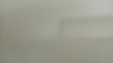 Diego online show from 21, 12, 2024