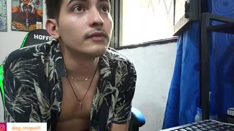 Snapshot of diegorogue_ chatting on 13, 2, 2025 Diego rogue online show from 13, 2, 2025