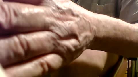 Snapshot of digbird1 chatting on 29, 1, 2025 dbNorth online show from 29, 1, 2025