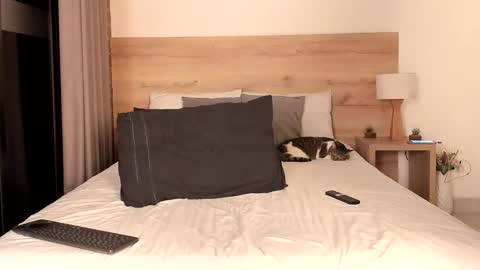 Dilarahkesh  online show from 16, 2, 2025