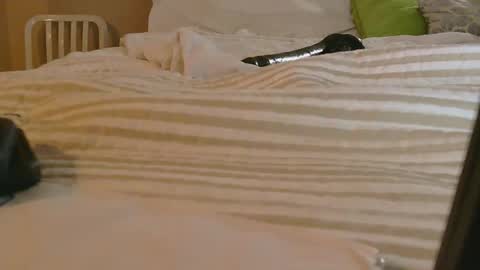 Snapshot of dildosnme22 chatting on 9, 2, 2026 dildosnme22 online show from 9, 2, 2026