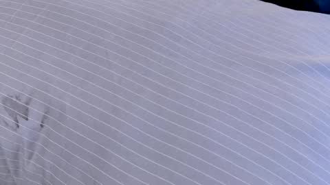 Dilldough405 online show from 24, 2, 2025