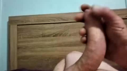 dingo_250 online show from 28, 9, 2025