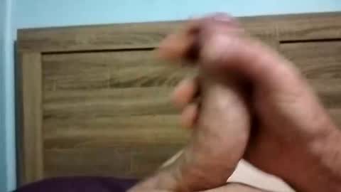 dingo_250 online show from 6, 10, 2025