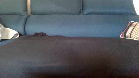 dinnerout1111 online show from 17, 2, 2025