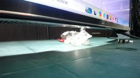 ANDREA online show from 24, 3, 2026