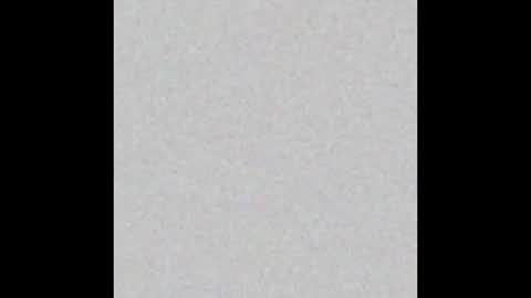 Dirk Diggler online show from 2, 12, 2024