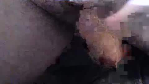 Snapshot of dirtyadventurer chatting on 22, 1, 2025 dirtyadventurer online show from 22, 1, 2025