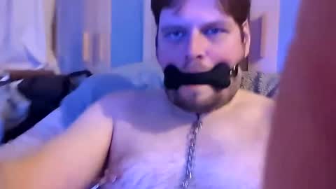 Snapshot of dirtydogsday chatting on 26, 2, 2025 Dirtydog online show from 26, 2, 2025