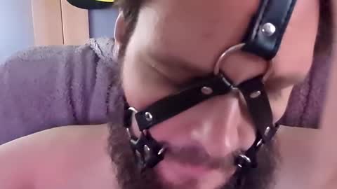 Snapshot of dirtydogsday chatting on 2, 10, 2025 Dirtydog online show from 2, 10, 2025