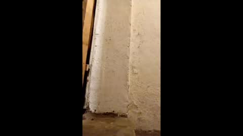 dirtytravbitch online show from 6, 5, 2026